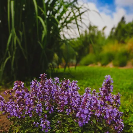Osada Marchowo Dom wakacyjny
