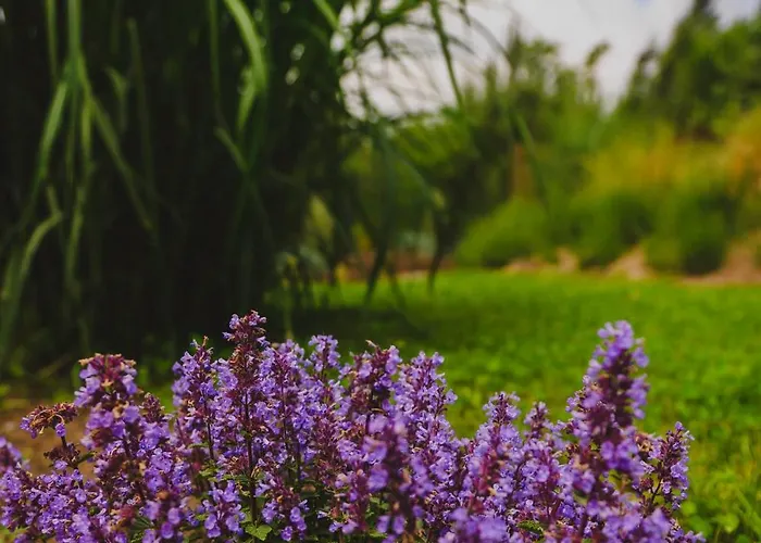 Osada Marchowo Semesterbostad